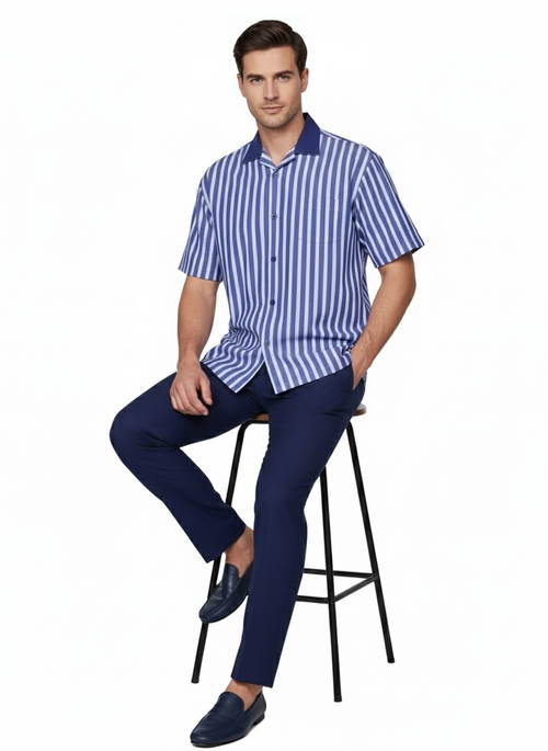 Mens Blue and White Vertical Stripe Short Sleeve Shirt Set Casual Summer Two-Piece Outfit