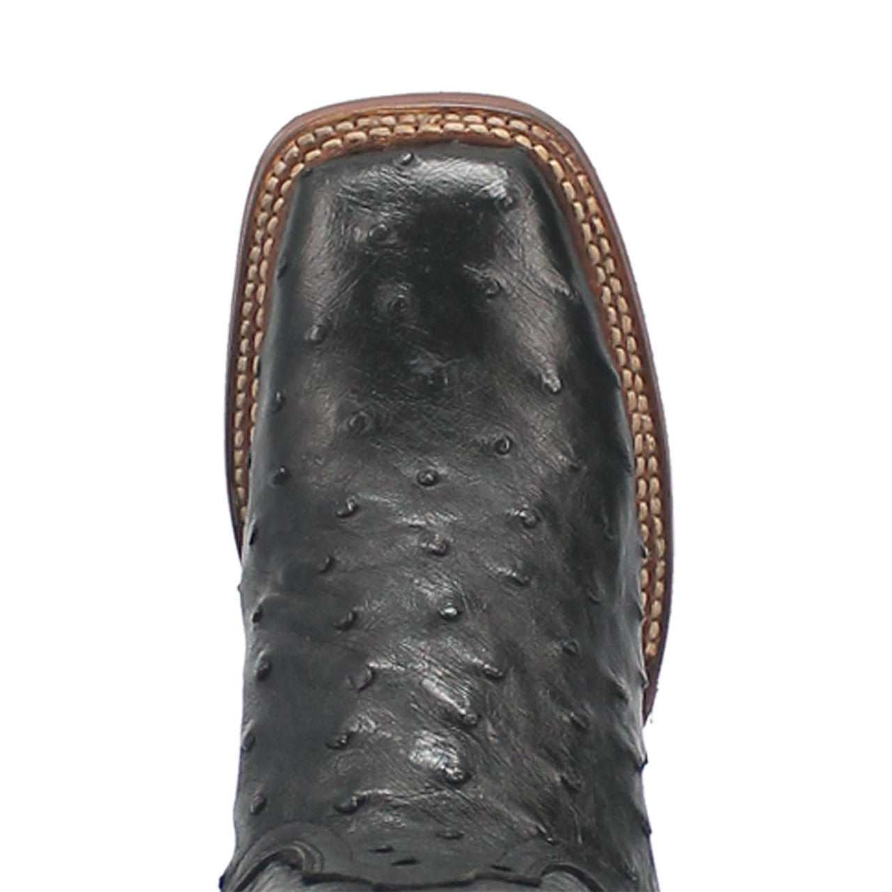 Dan Post Kylo Black Full-Quill Ostrich Boots - 7M