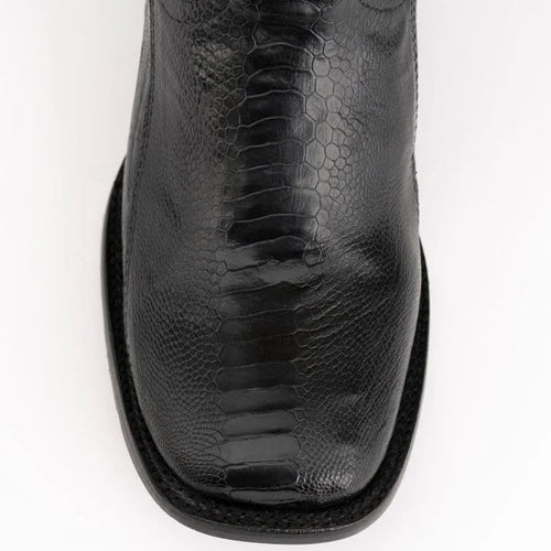 Ferrini Nash - Ostrich Leg
