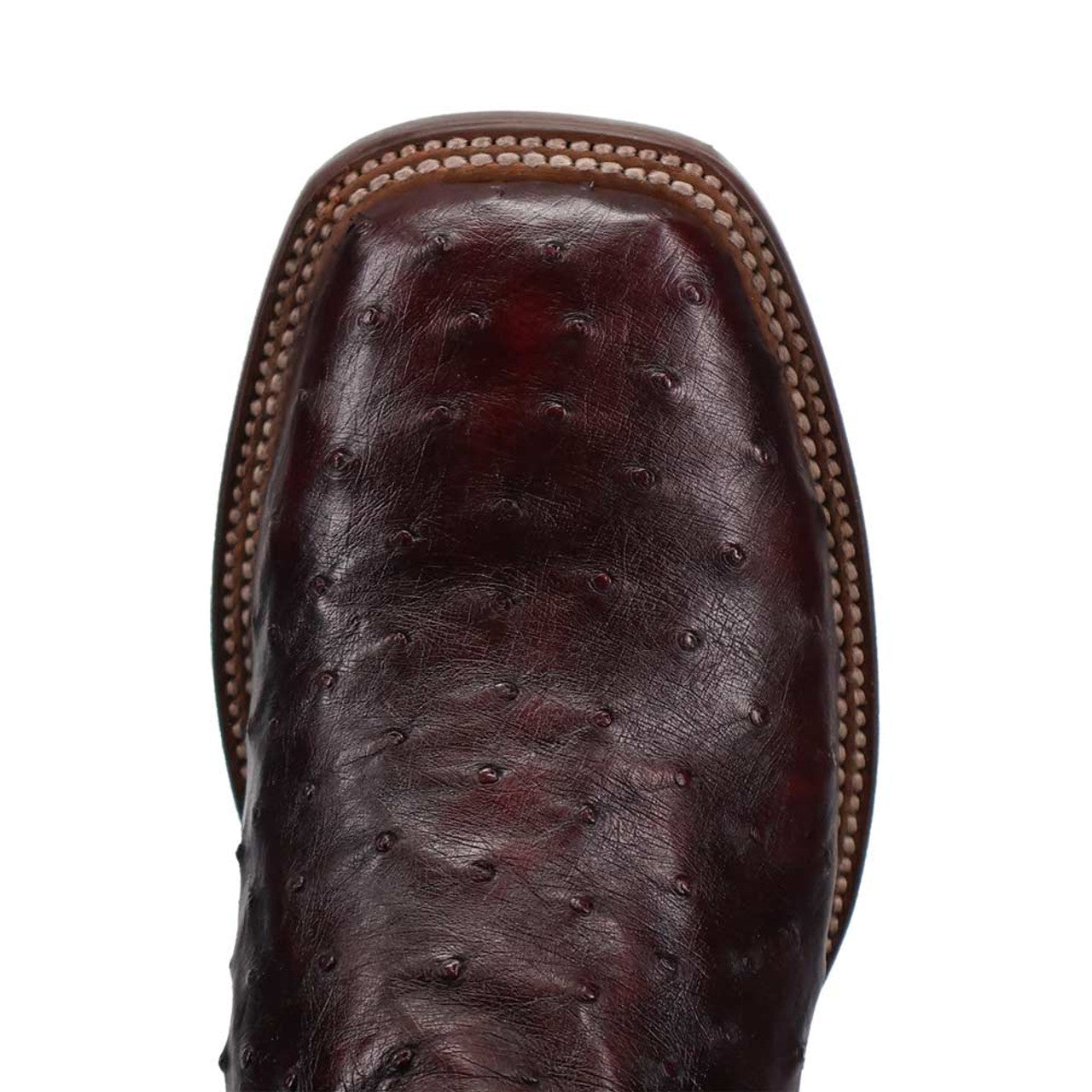 Dan Post Men’s Alamosa Black and Cherry Full Quill Ostrich Boots - 7D