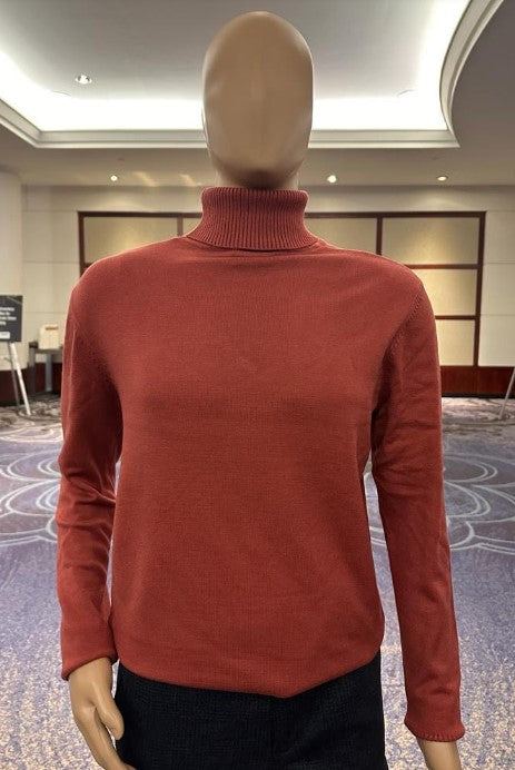 Turtleneck Sweater - Slim in Color Rust - S