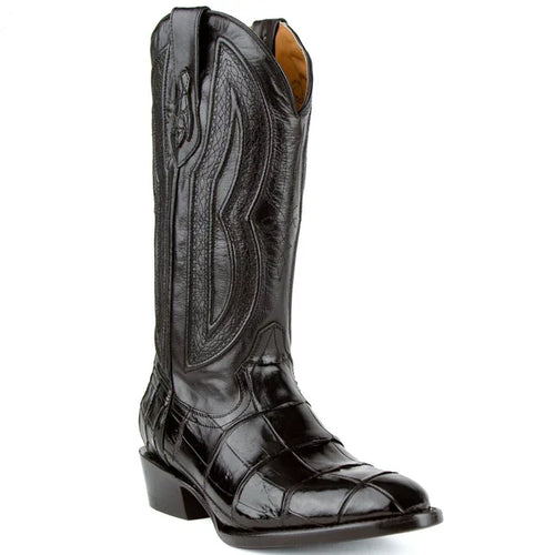 Ferrini Stallion - American Alligator