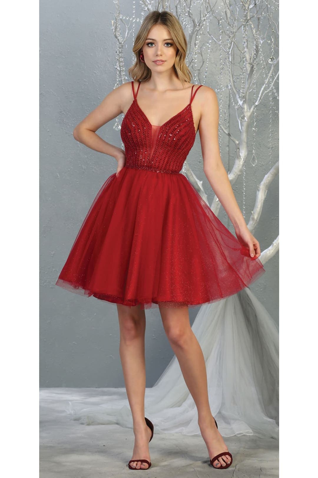 6 Quince Dama Dresses
