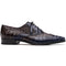Caiman Navy Shoe