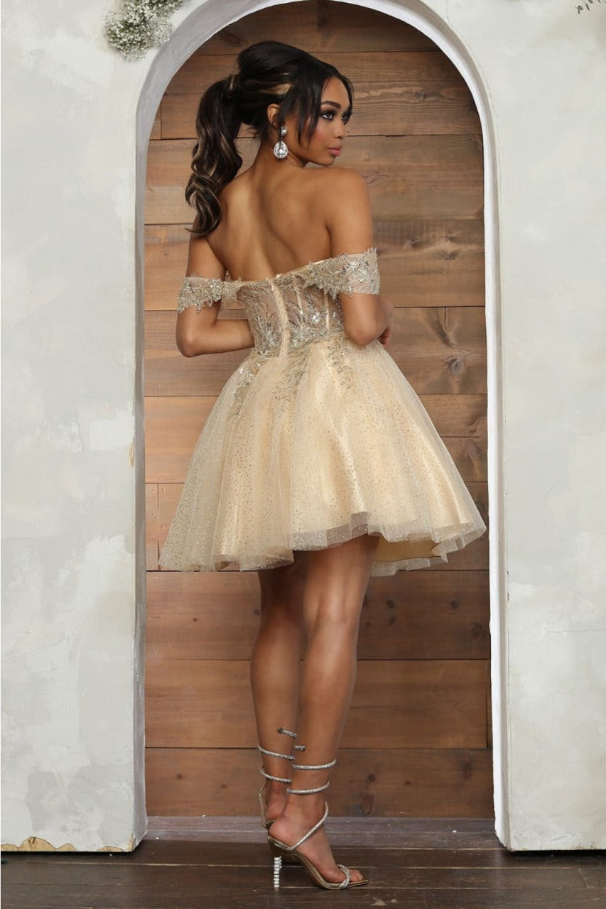 Quince Dama Dresses - Short Quinceanera Dresses in Color Champagne - 2
