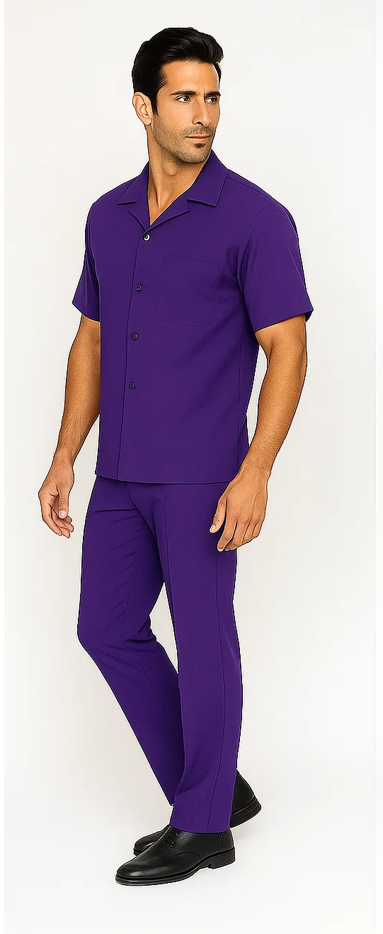 Mens Walking Suit in Color purple leisure suit casual Matching Shirt and Pants $99 - S/30