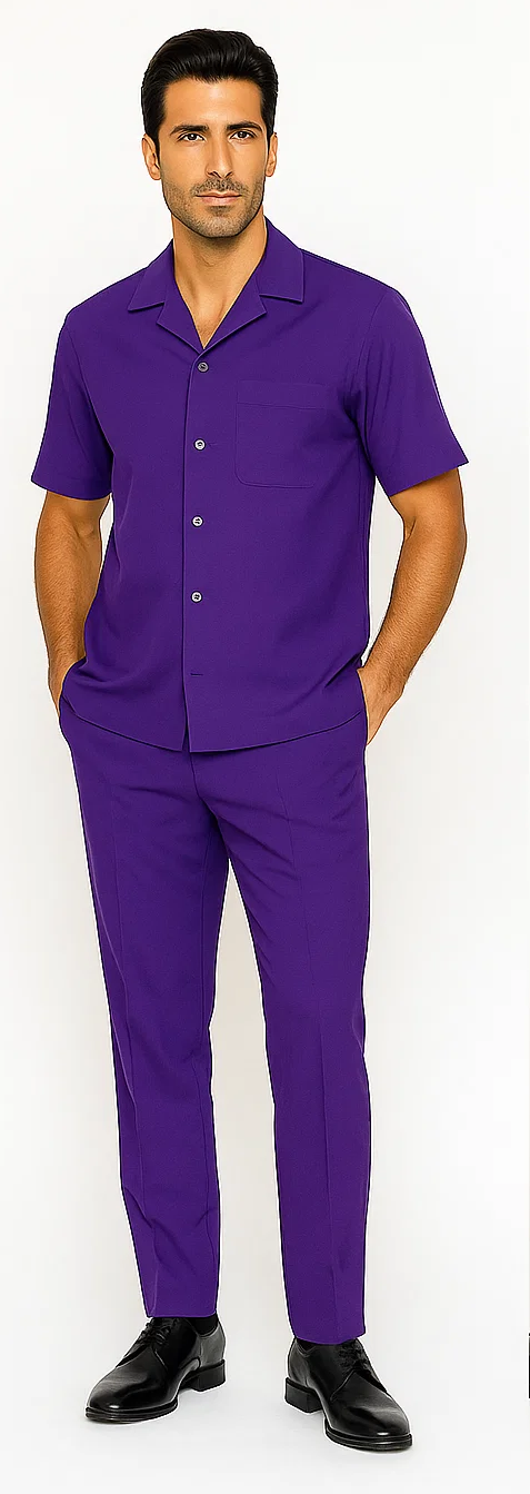 Mens Walking Suit in Color purple leisure suit casual Matching Shirt and Pants $99 - S/30