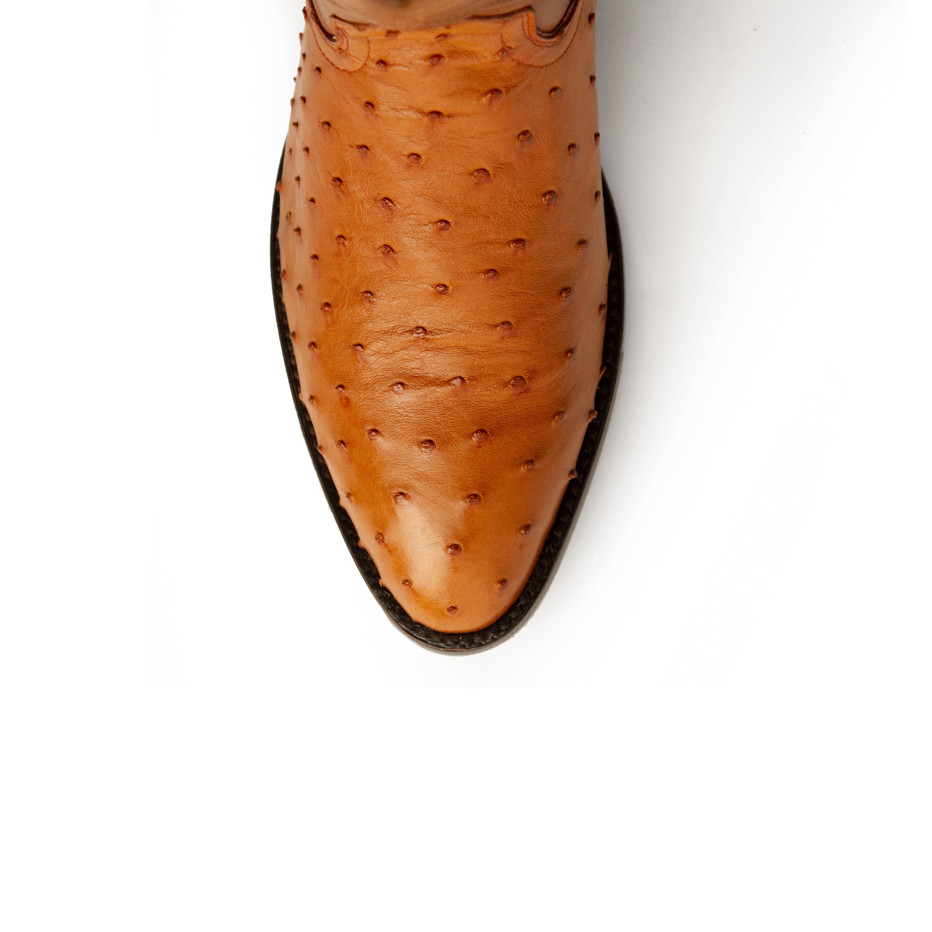 Ferrini Colt - Men's Full Quill Ostrich - 8.5D