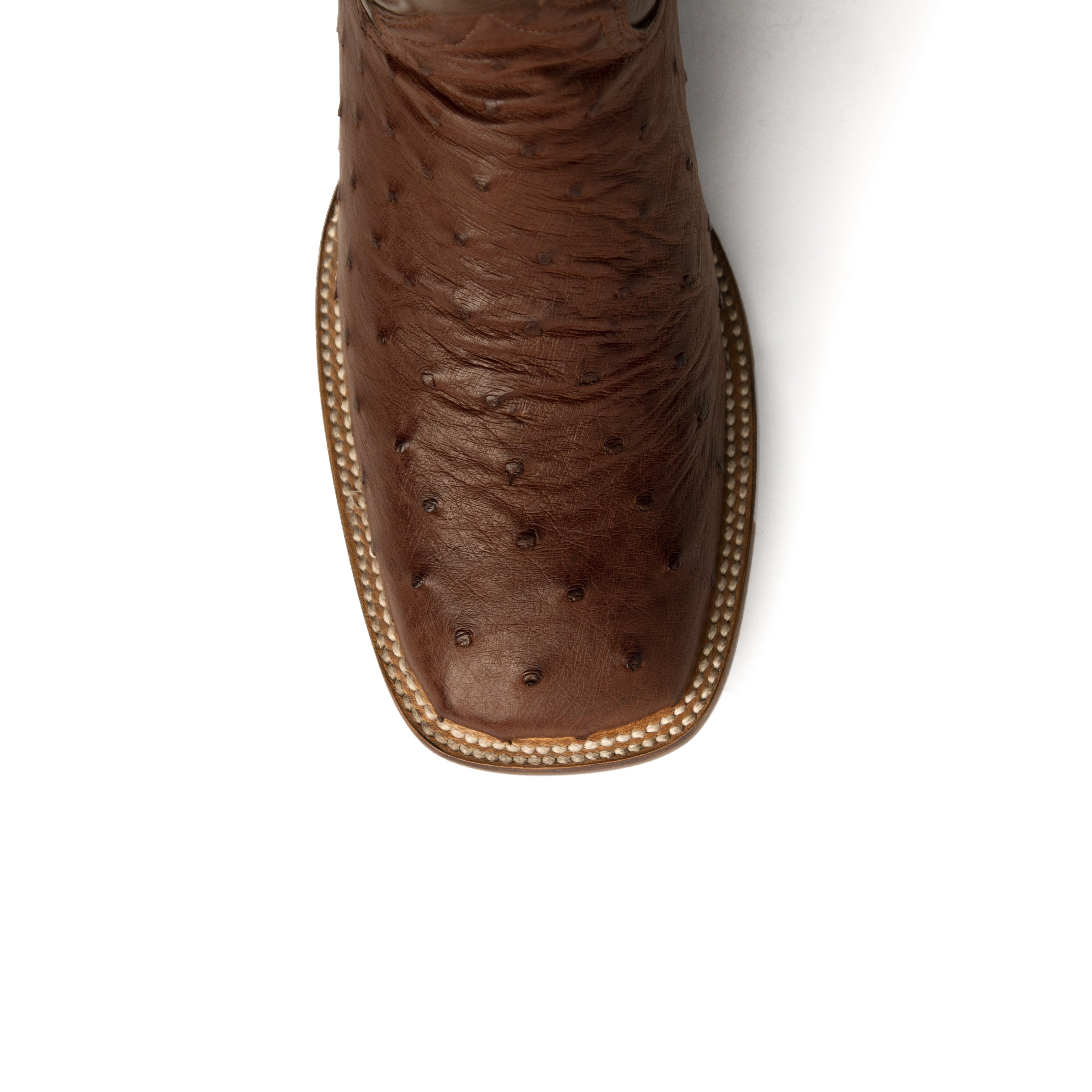 Ferrini Colt Full Quill Ostrich Shoe - 8D
