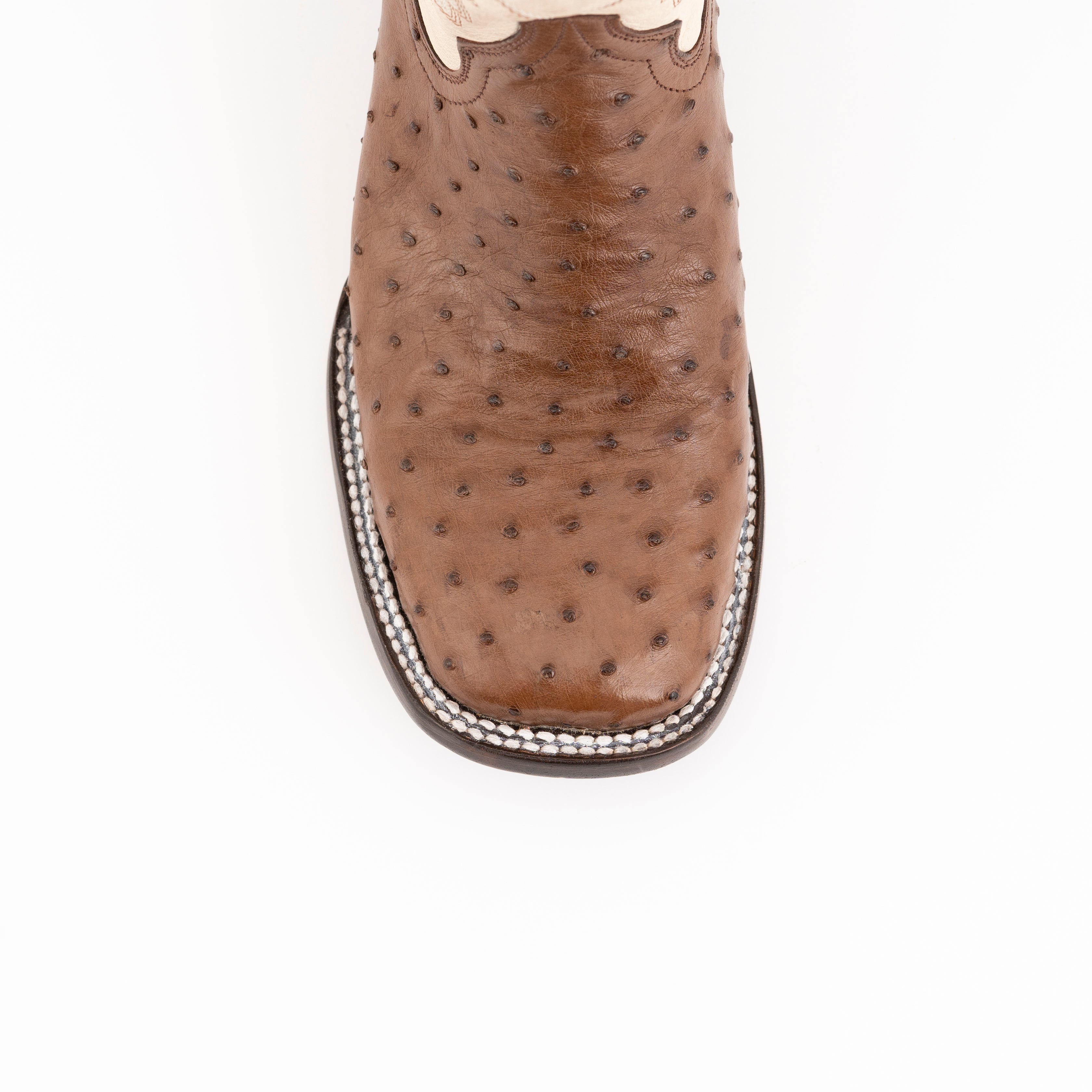 Ferrini Colt - Men's Full Quill Ostrich - 8D