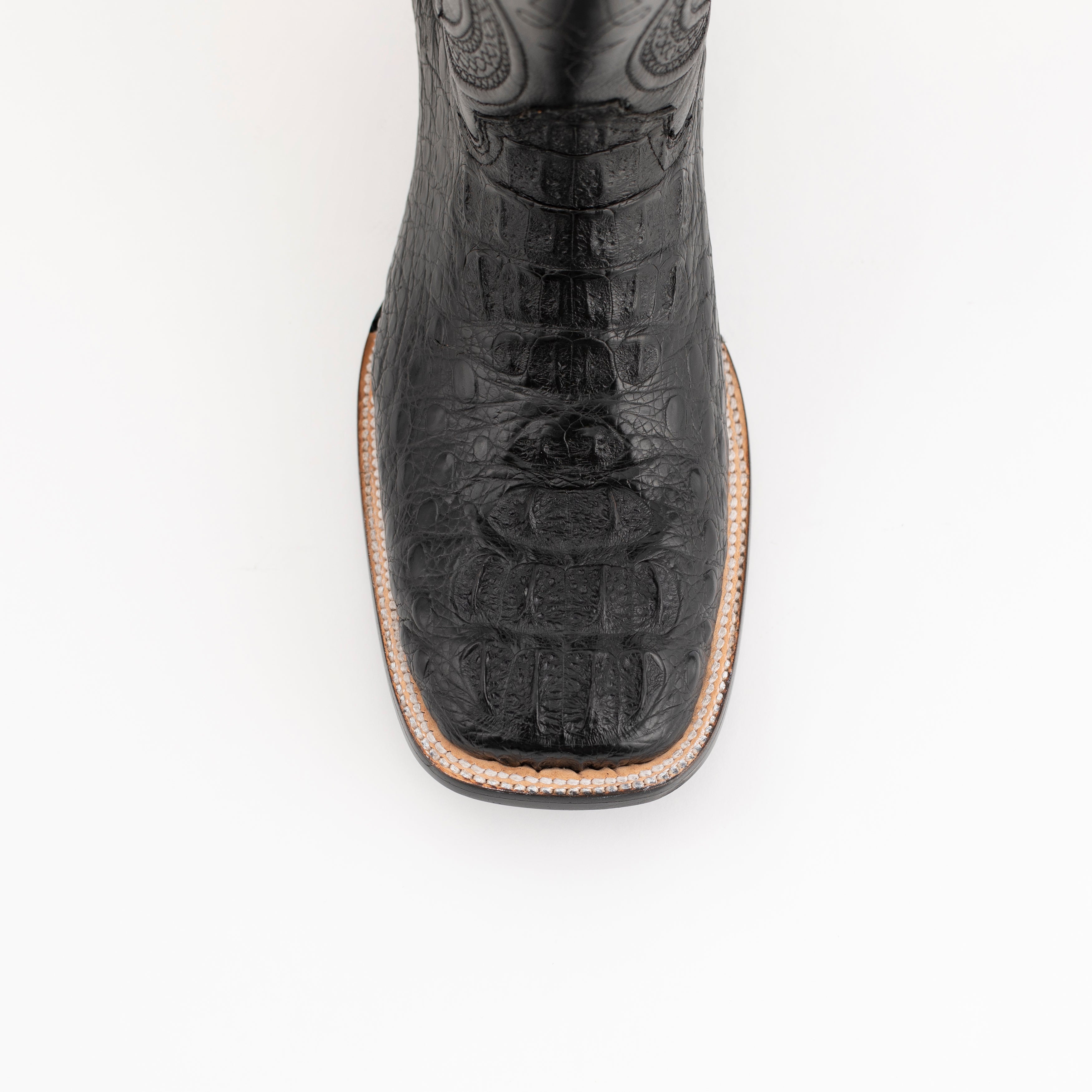Ferrini Hornback Caiman Dakota - 8D