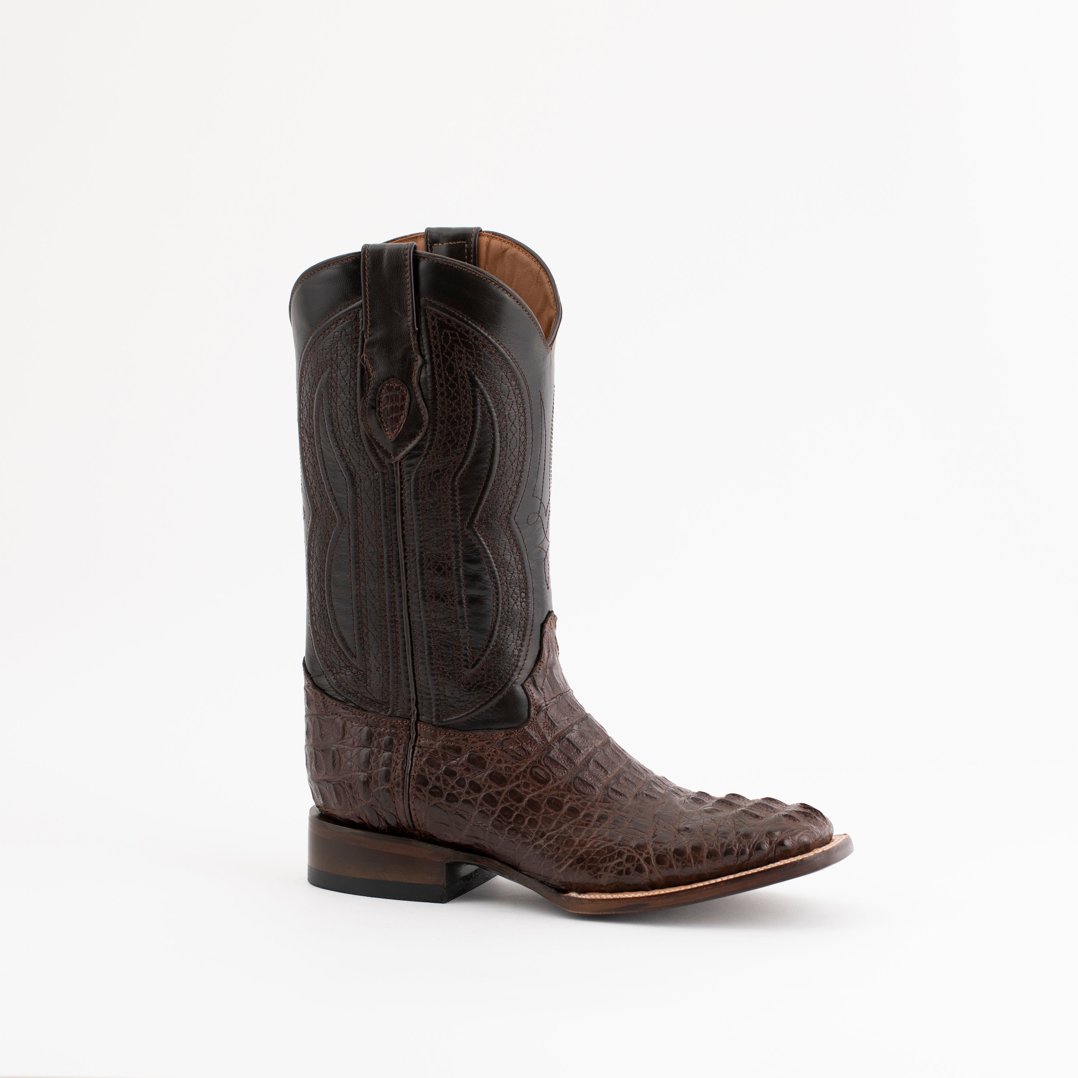 Ferrini Hornback Caiman Dakota - 8D