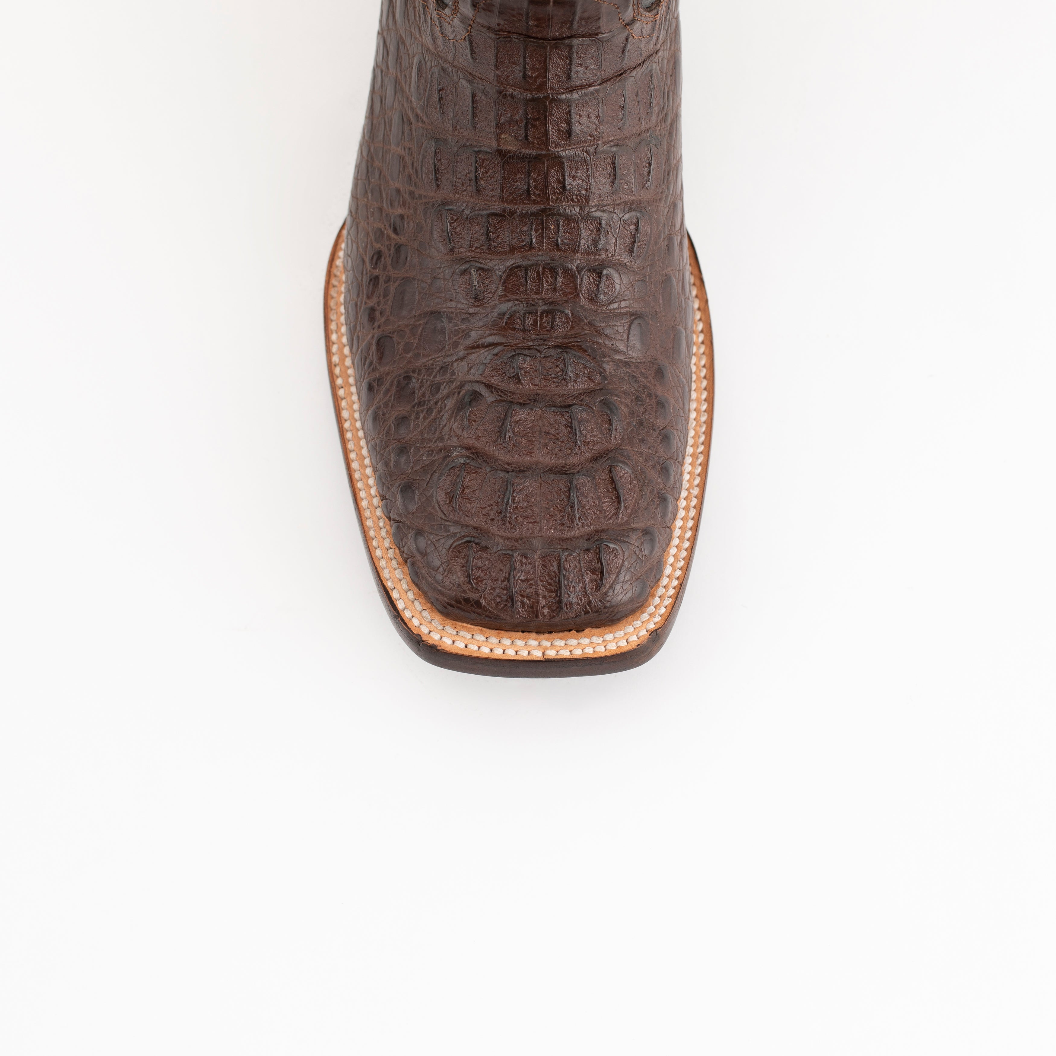 Ferrini Hornback Caiman Dakota - 8D