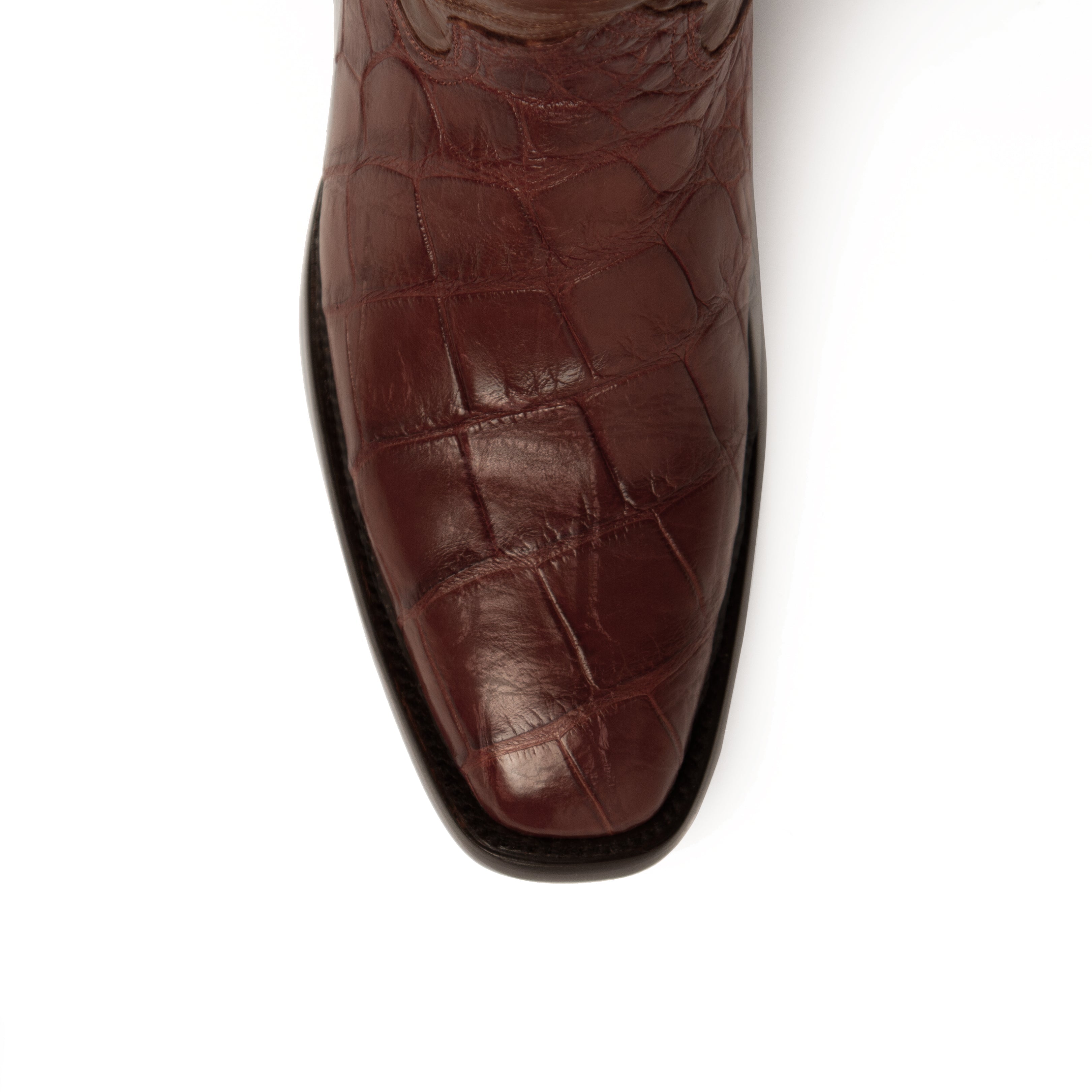 Ferrini Stallion - American Alligator - 8D