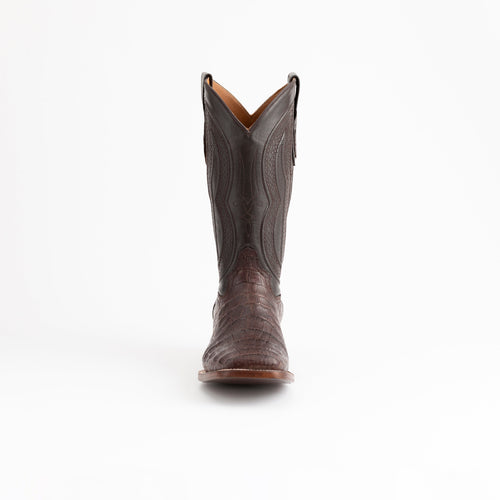 Ferrini Belly Caiman Dakota Luxury Shoe