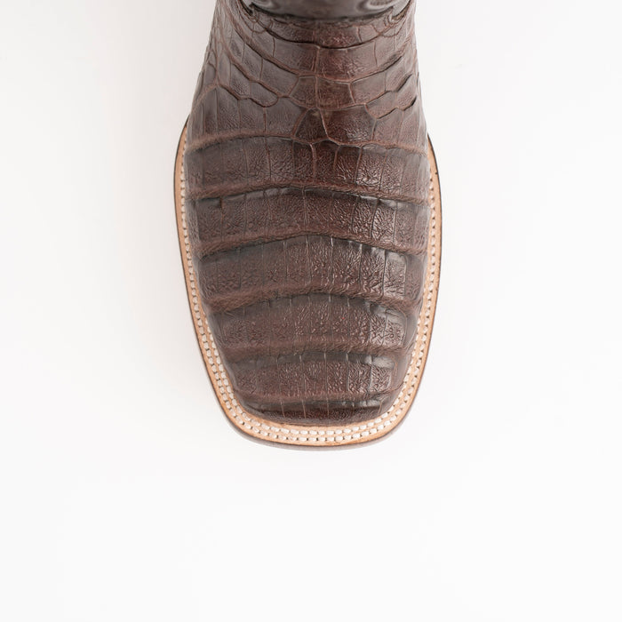 Ferrini Belly Caiman Dakota Luxury Shoe