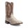 BRUTUS PYTHON BOOT