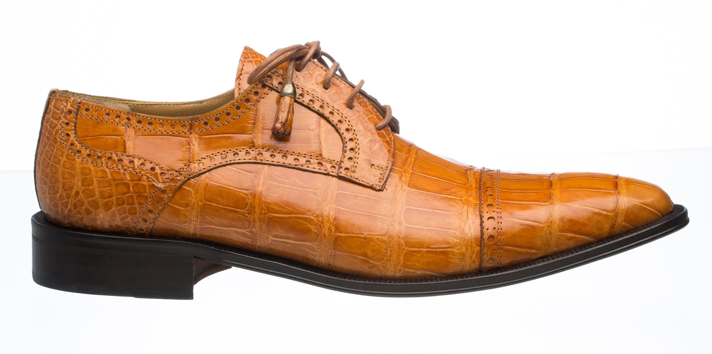 Ferrini Belly Alligator 216 - 9D