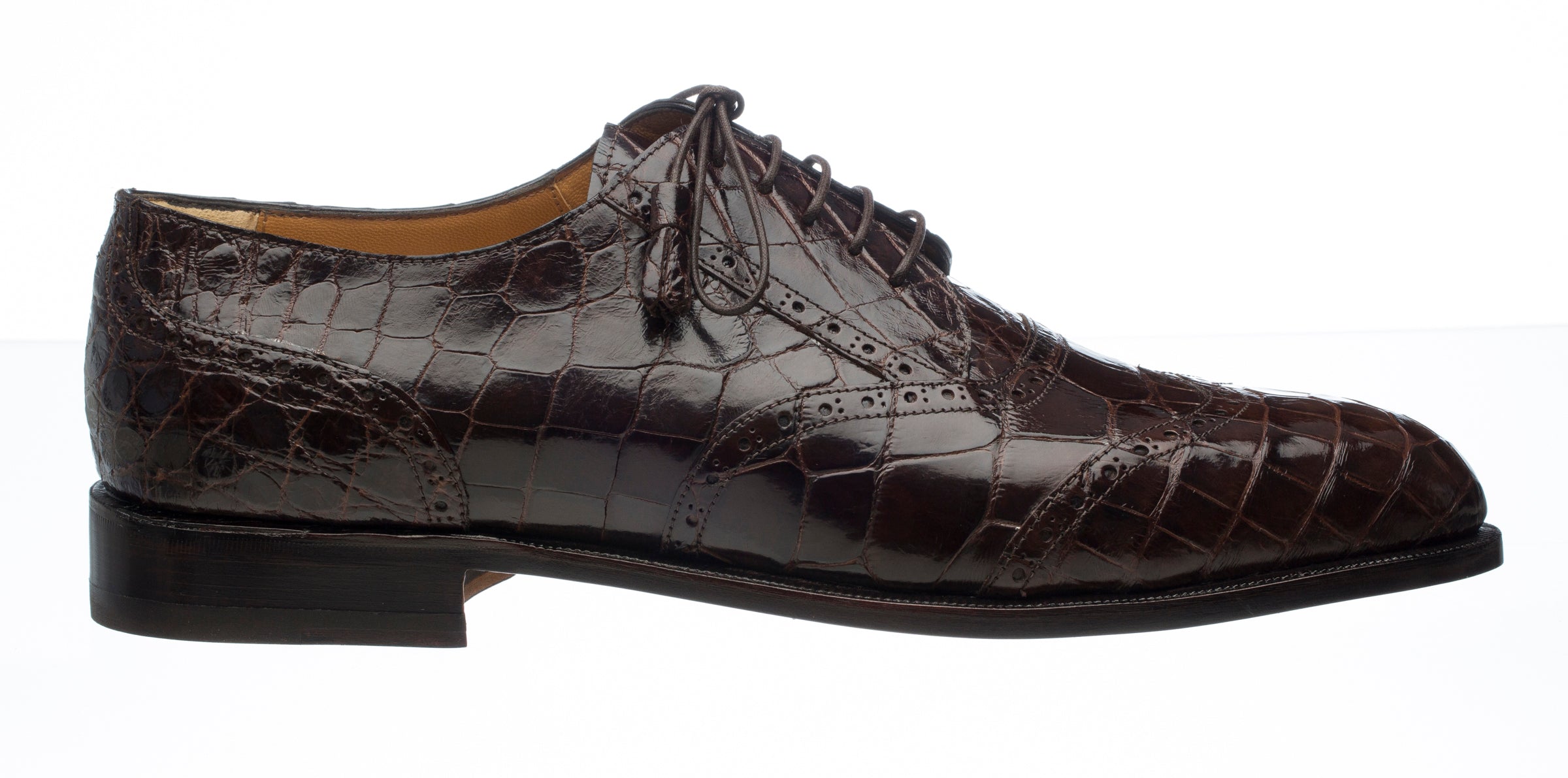 Ferrini Belly Alligator 3673 - 10.5D