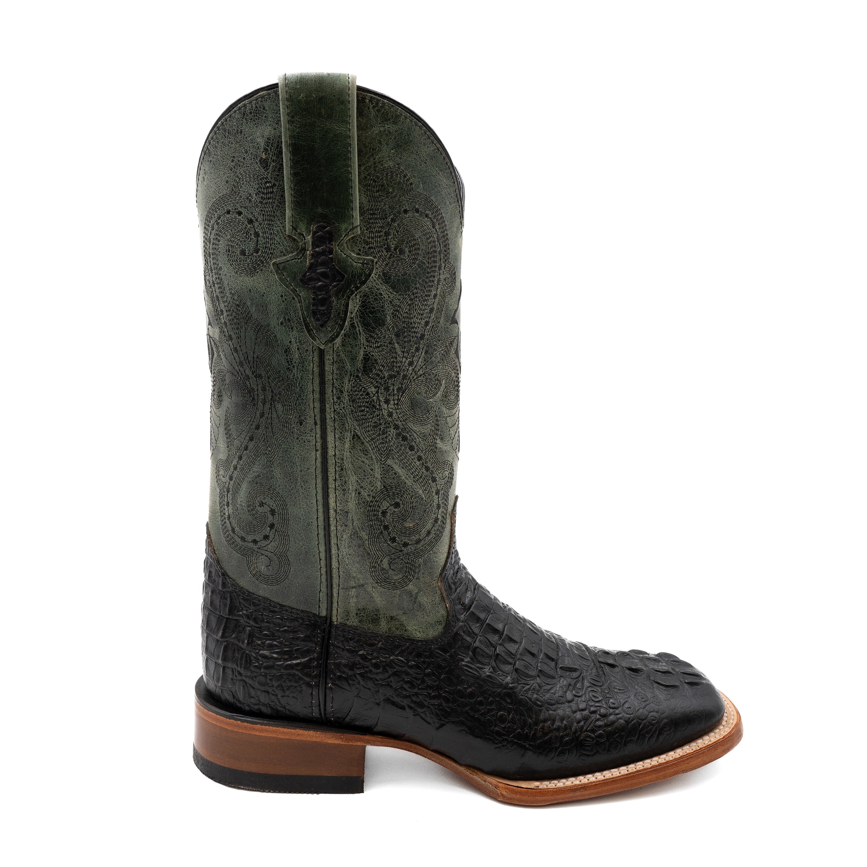 Ferrini Stampede - 8D
