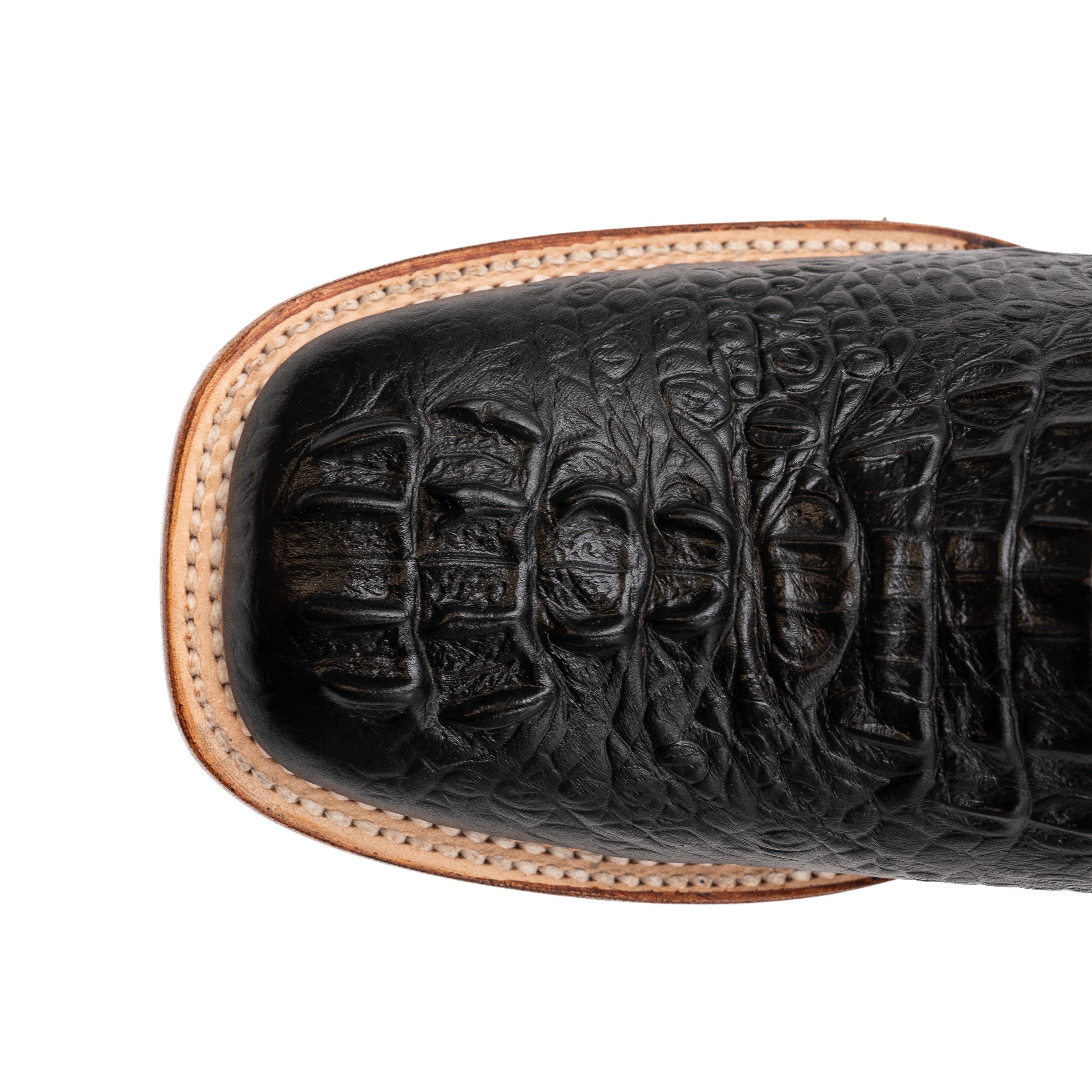 Ferrini Stampede - 8D