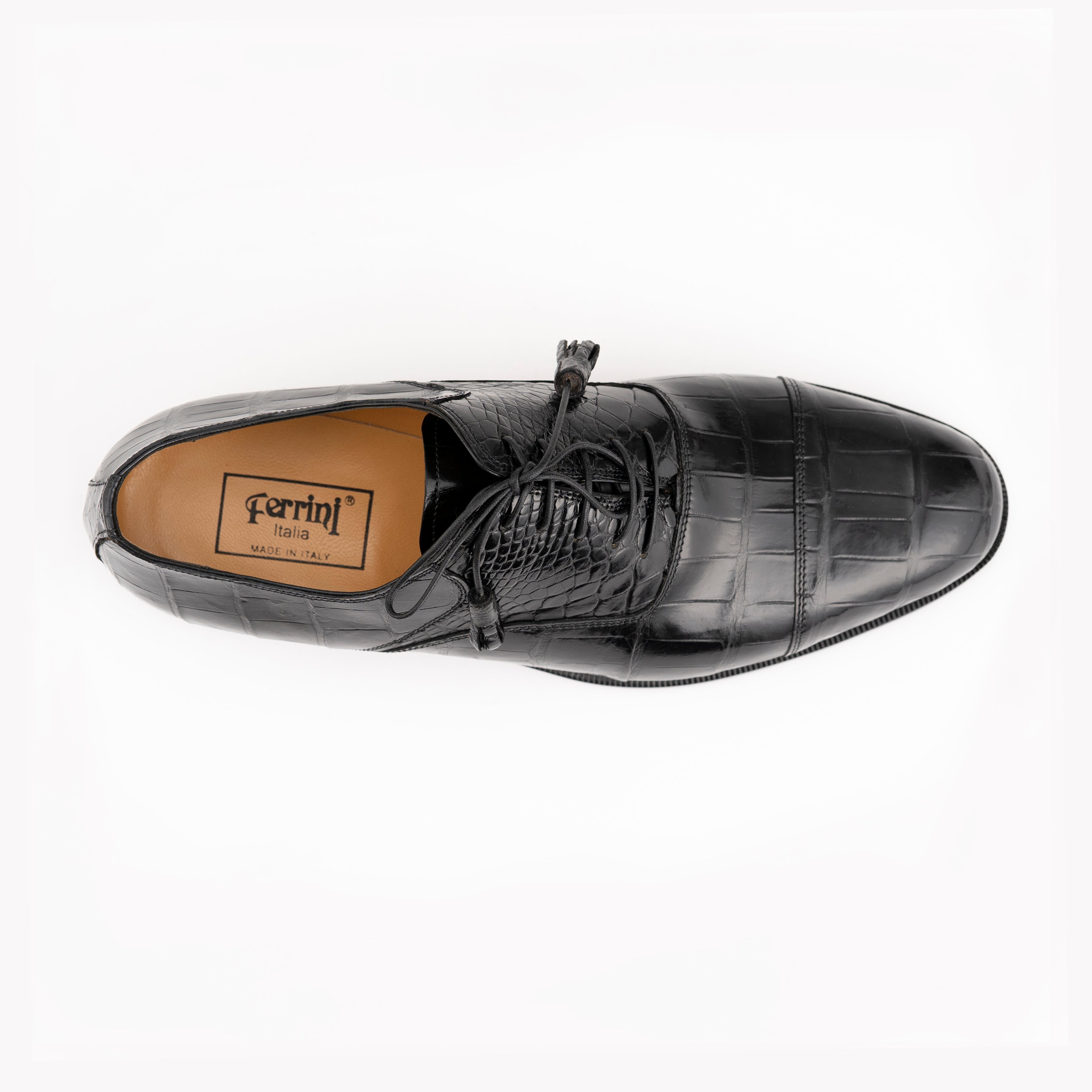 Ferrini Alligator 4234 - 9D