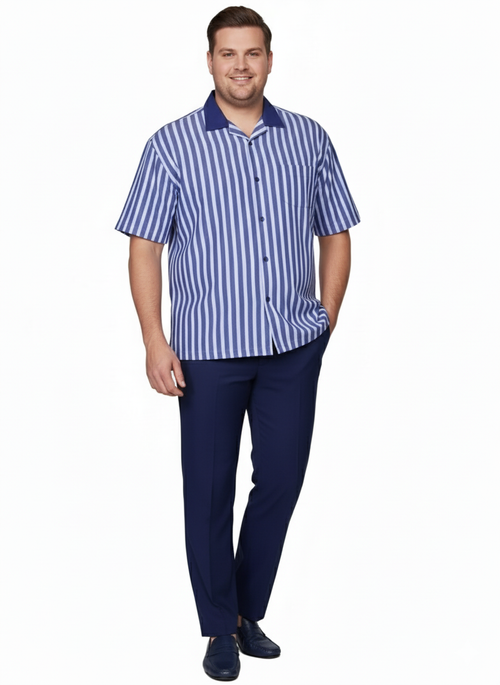 Mens Blue and White Vertical Stripe Short Sleeve Shirt Set Casual Summer Two-Piece Outfit