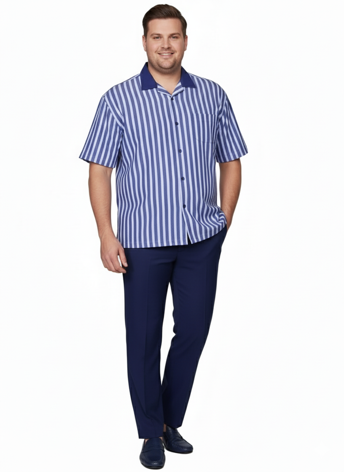 Mens Blue and White Vertical Stripe Short Sleeve Shirt Set Casual Summer Two-Piece Outfit