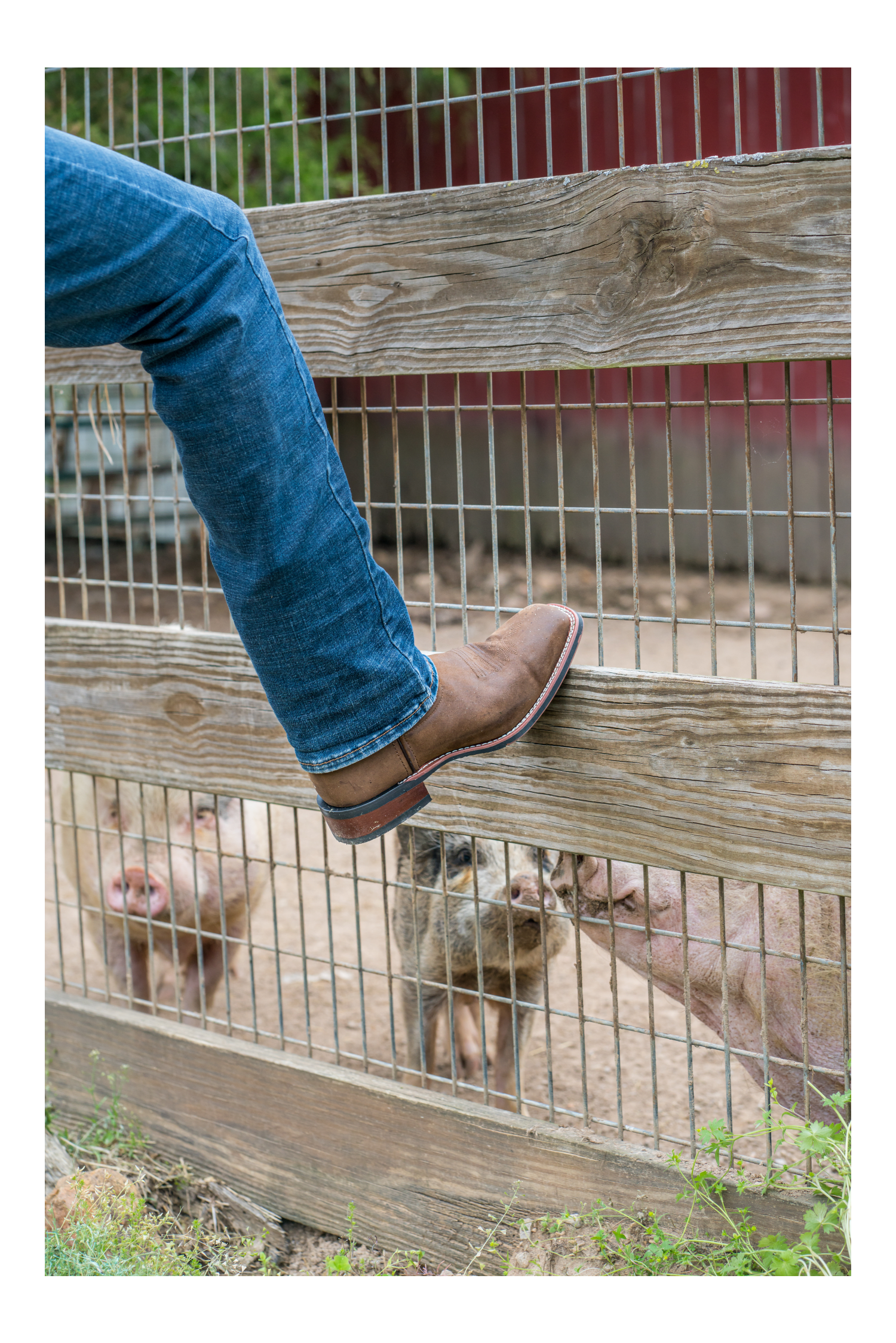 Laredo LODI LEATHER BOOT - 7