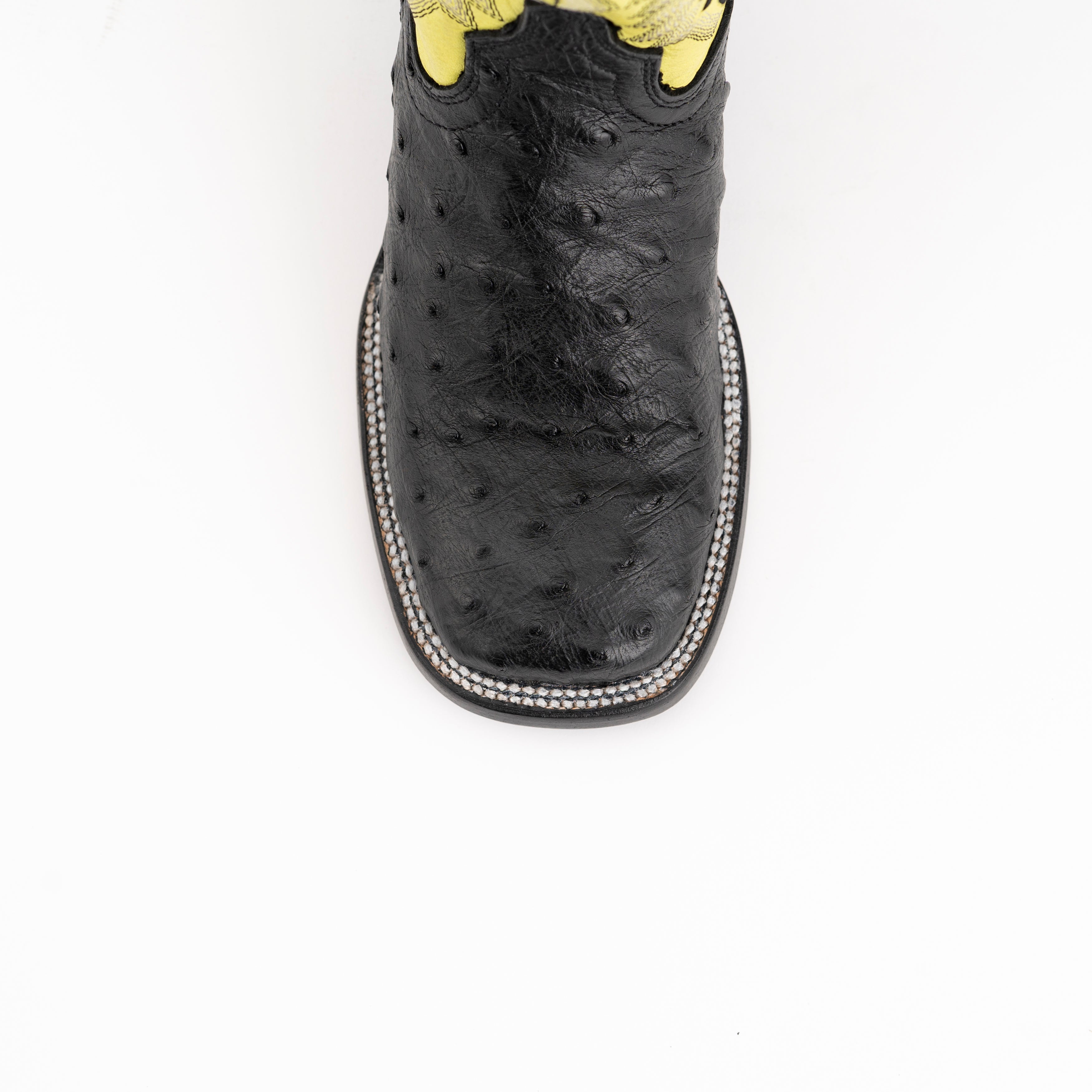 Ferrini Ladies Colt Ostrich Boot - Full Quill