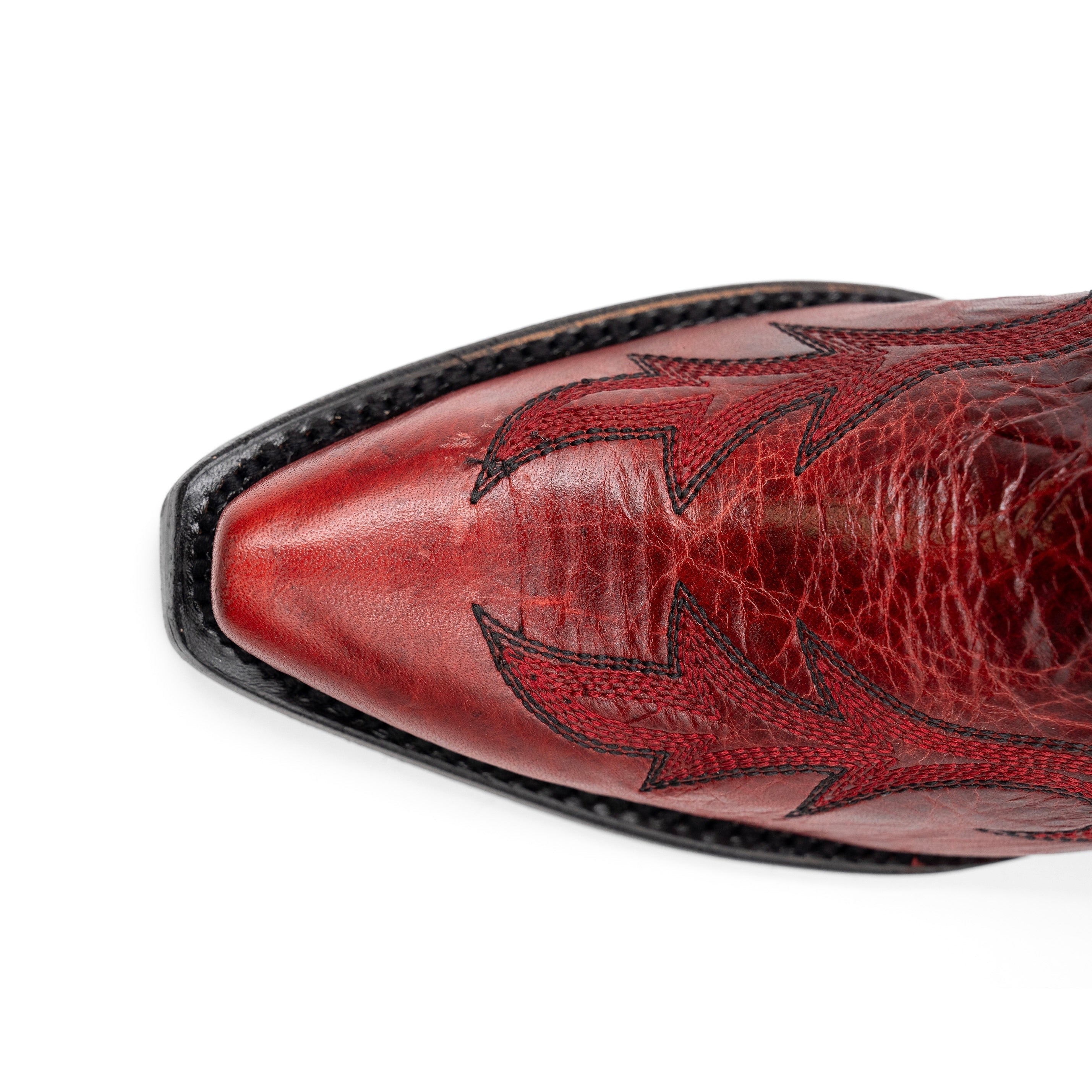 Ferrini Scarlett - 6B