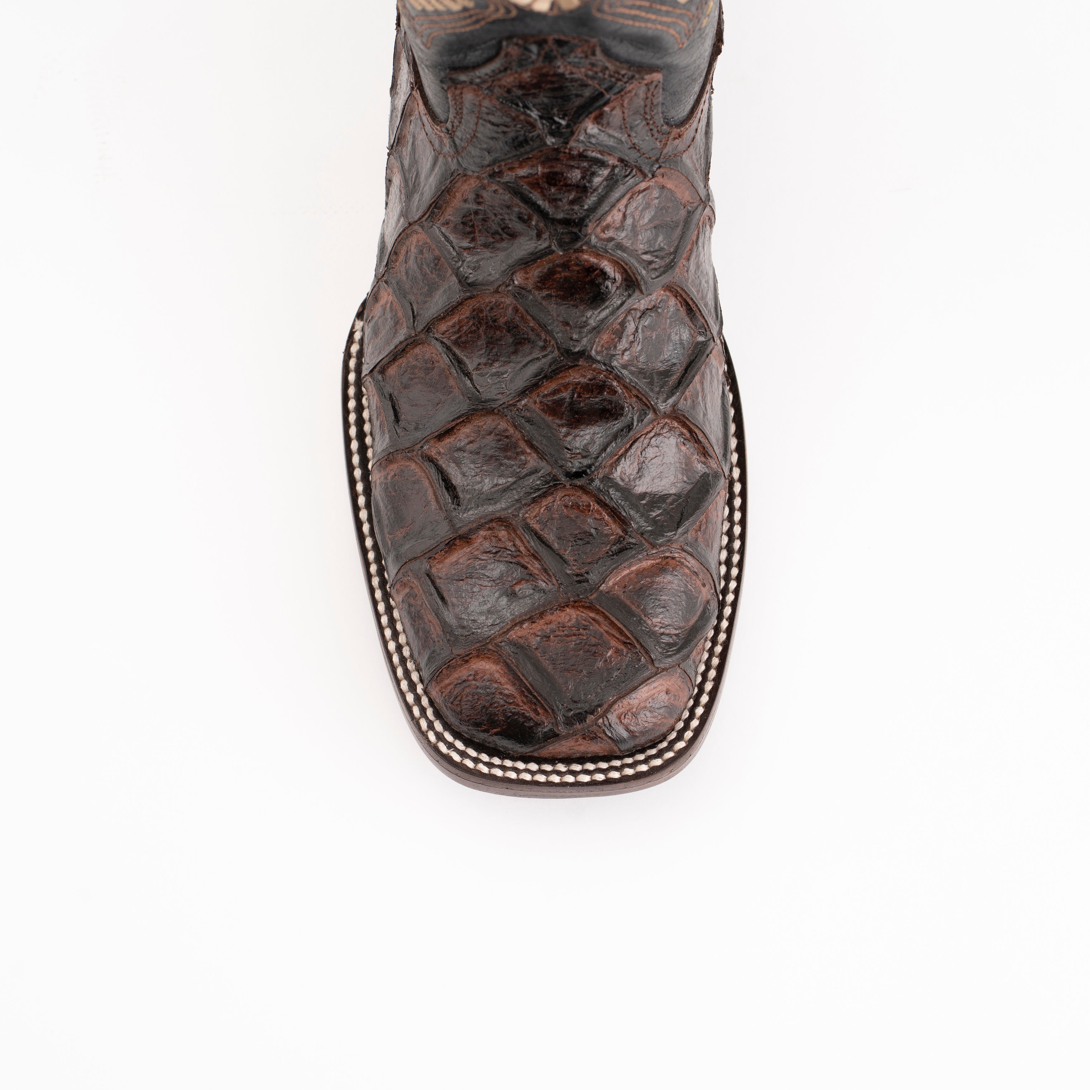 Ferrini Bronco - 6B