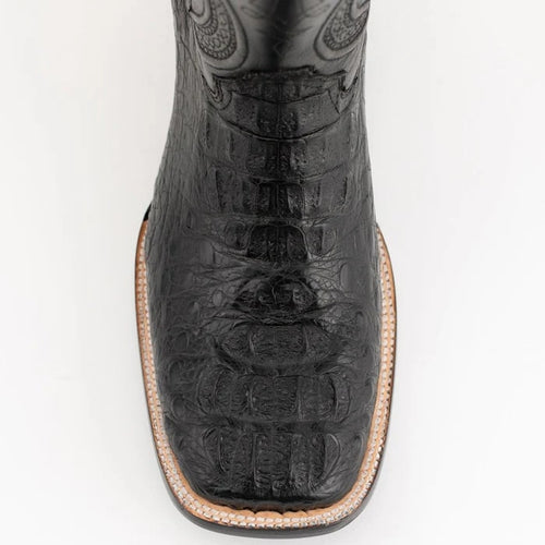 Ferrini Hornback Caiman Dakota