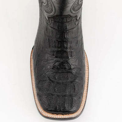 Ferrini Hornback Caiman Dakota