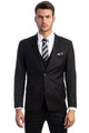 Cheap Priced Suit - Men's Two Button Slim Fit Vested Solid Basic Black Suit