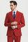 Cheap Priced Suit - Men's Two Button Vested Stacy Adams Basic Designer Sharkskin Brick Suit