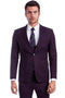 Cheap priced Suit- Men's Two Button Skinny Fit Vested Burgundy Suit