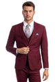 Cheap Priced Suit - Men's Two Button Slim Fit Vested Solid Basic Color Burgundy Suit