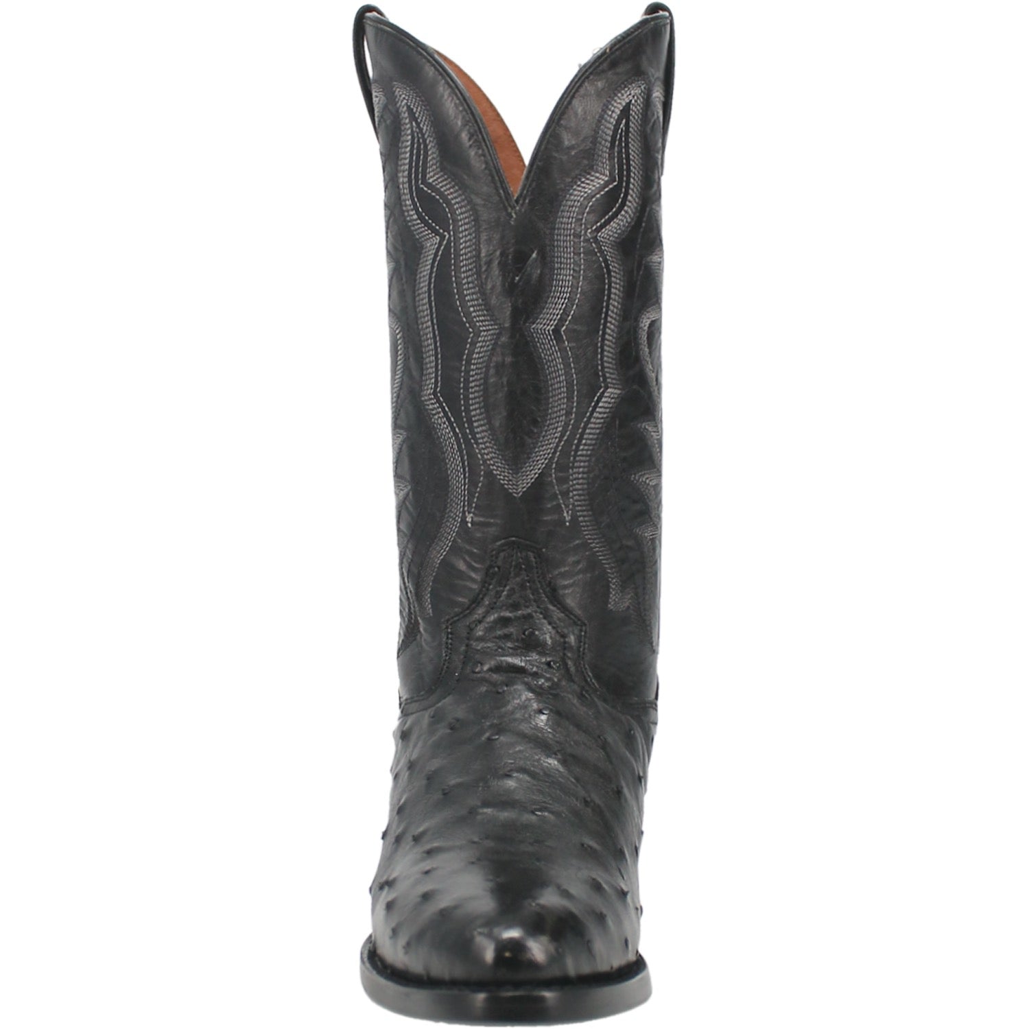 TEMPE FULL QUILL OSTRICH - 7