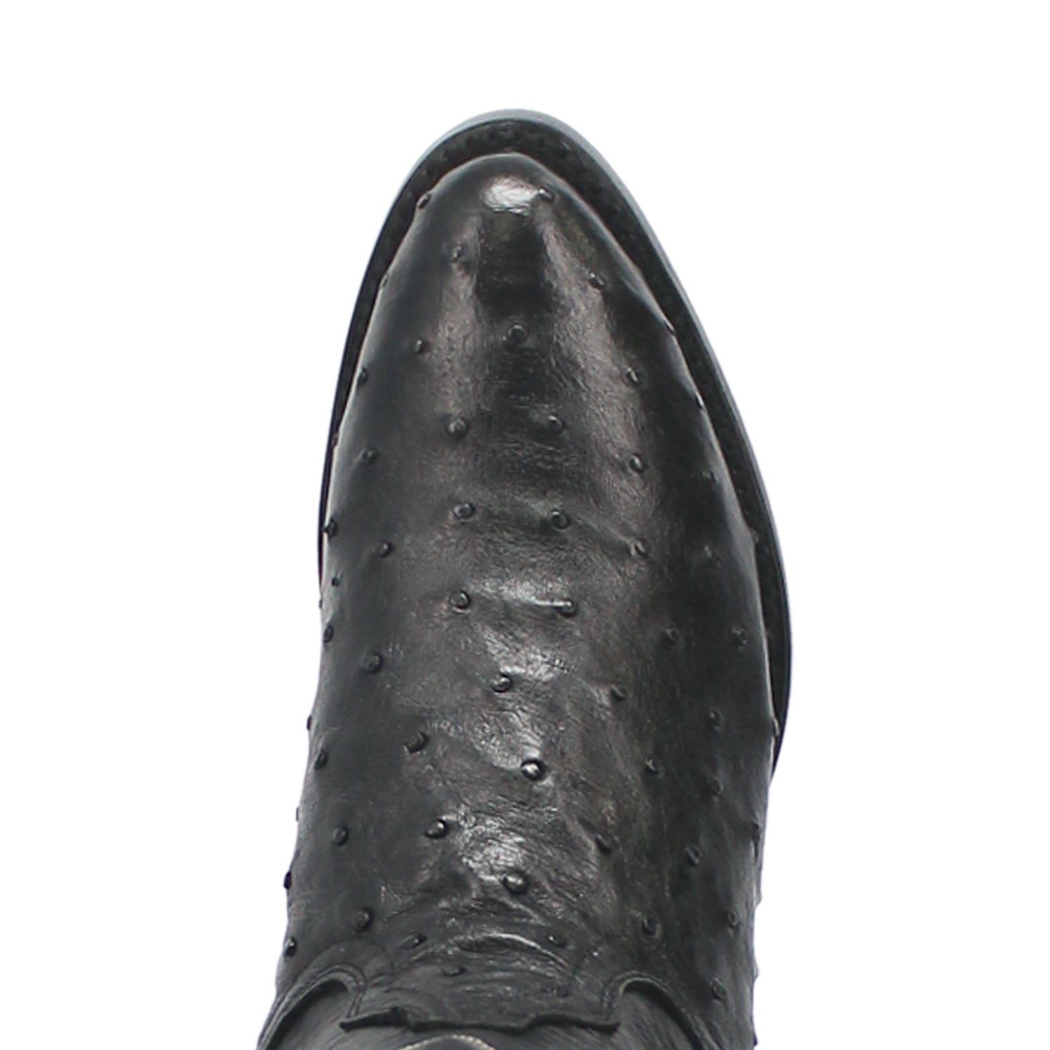TEMPE FULL QUILL OSTRICH - 7