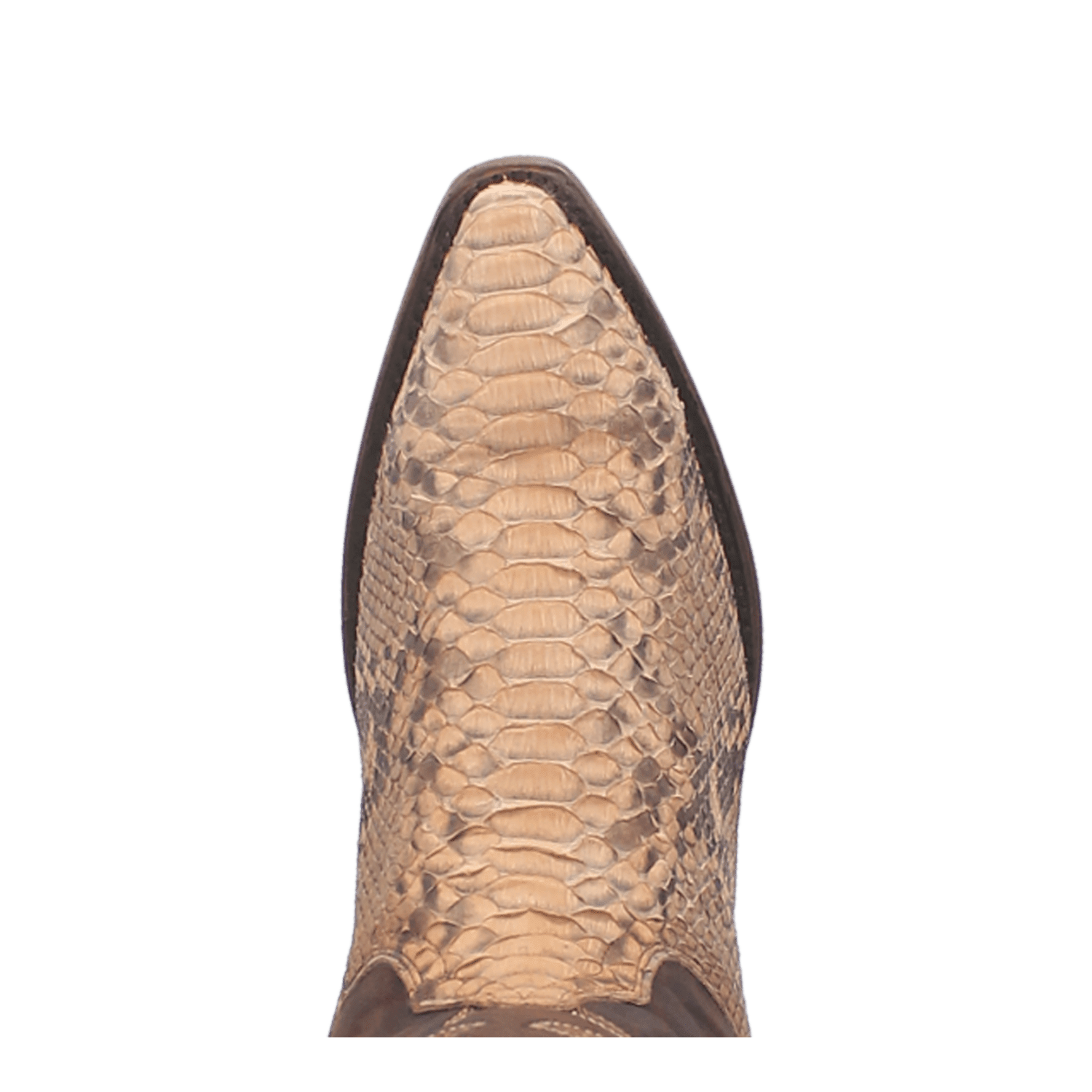STURGIS PYTHON BOOT - 7
