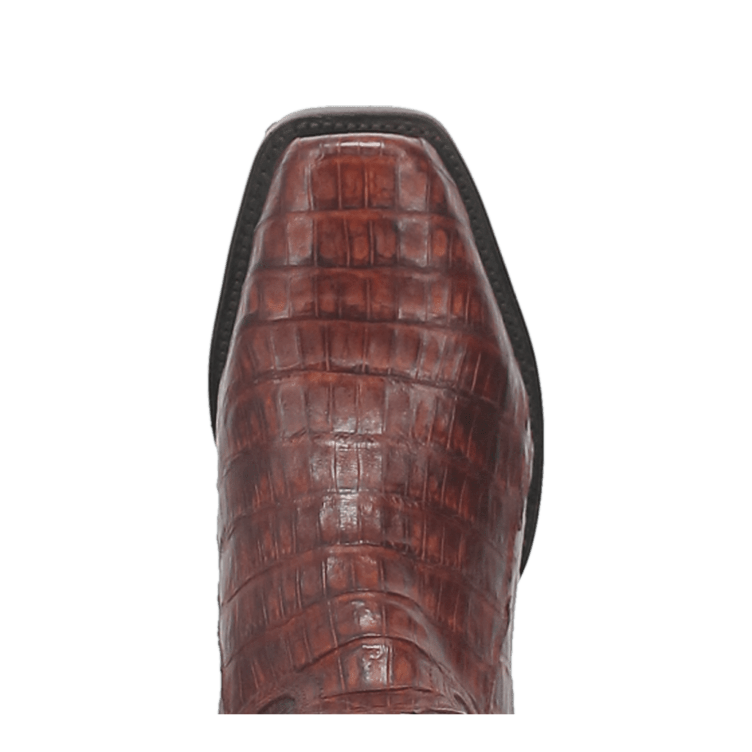 BAYOU CAIMAN BOOT - 7