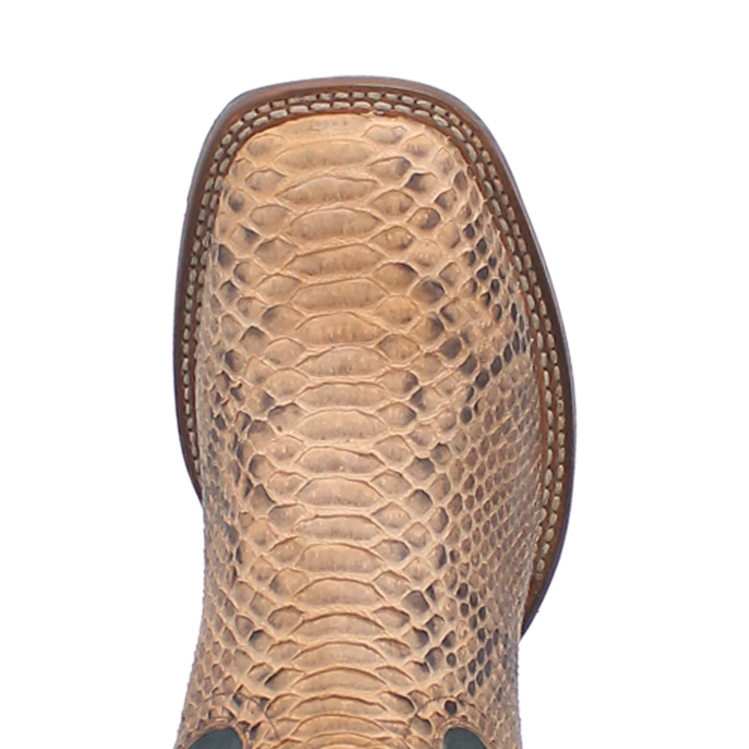 TEMPLETON PYTHON BOOT - 7