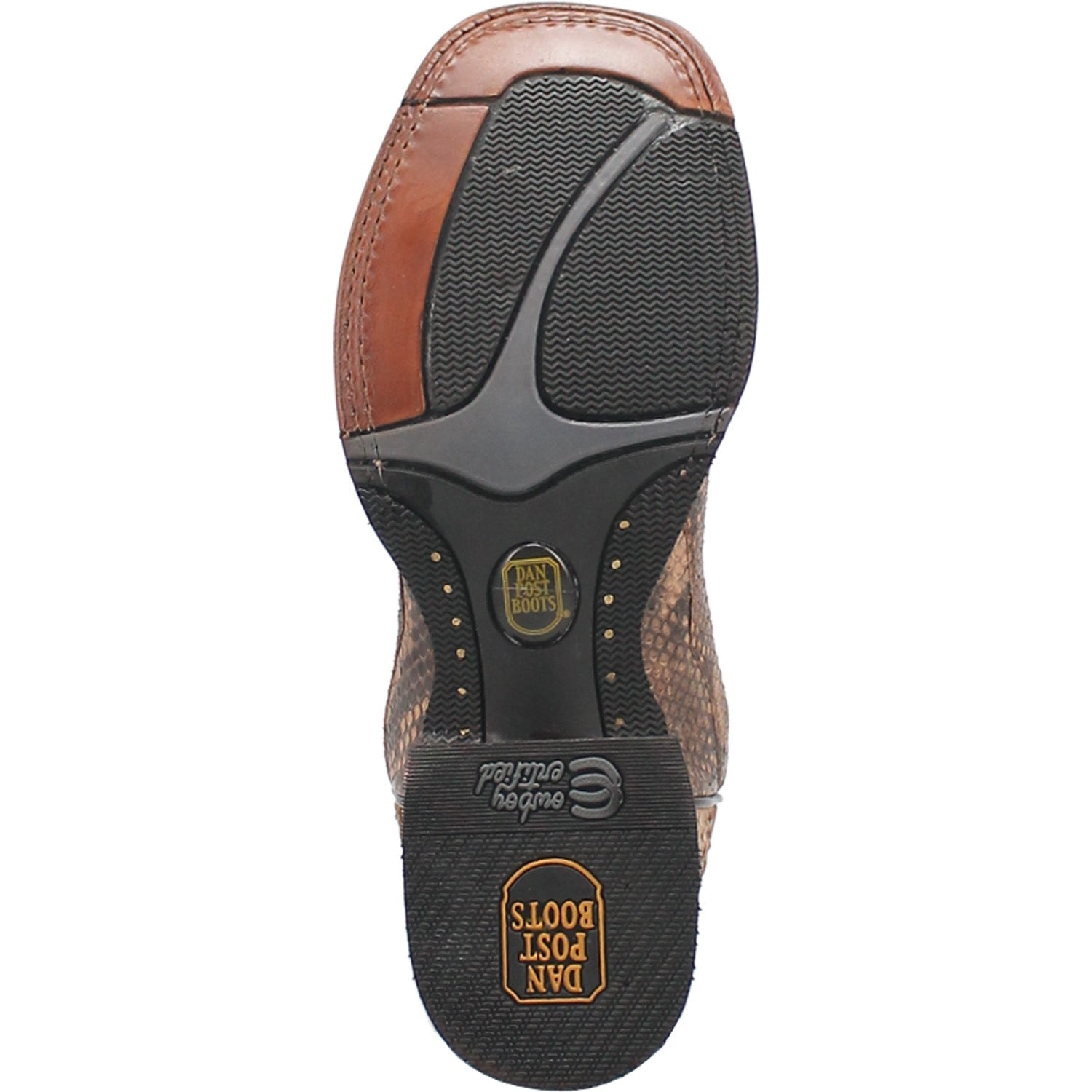 TEMPLETON PYTHON BOOT - 7
