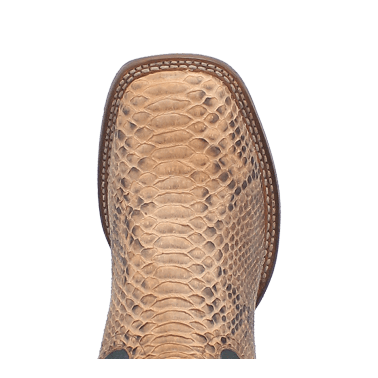 TEMPLETON PYTHON BOOT - 7