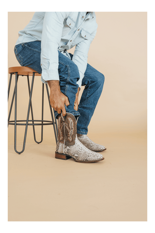 BRUTUS PYTHON BOOT