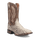 BRUTUS PYTHON BOOT