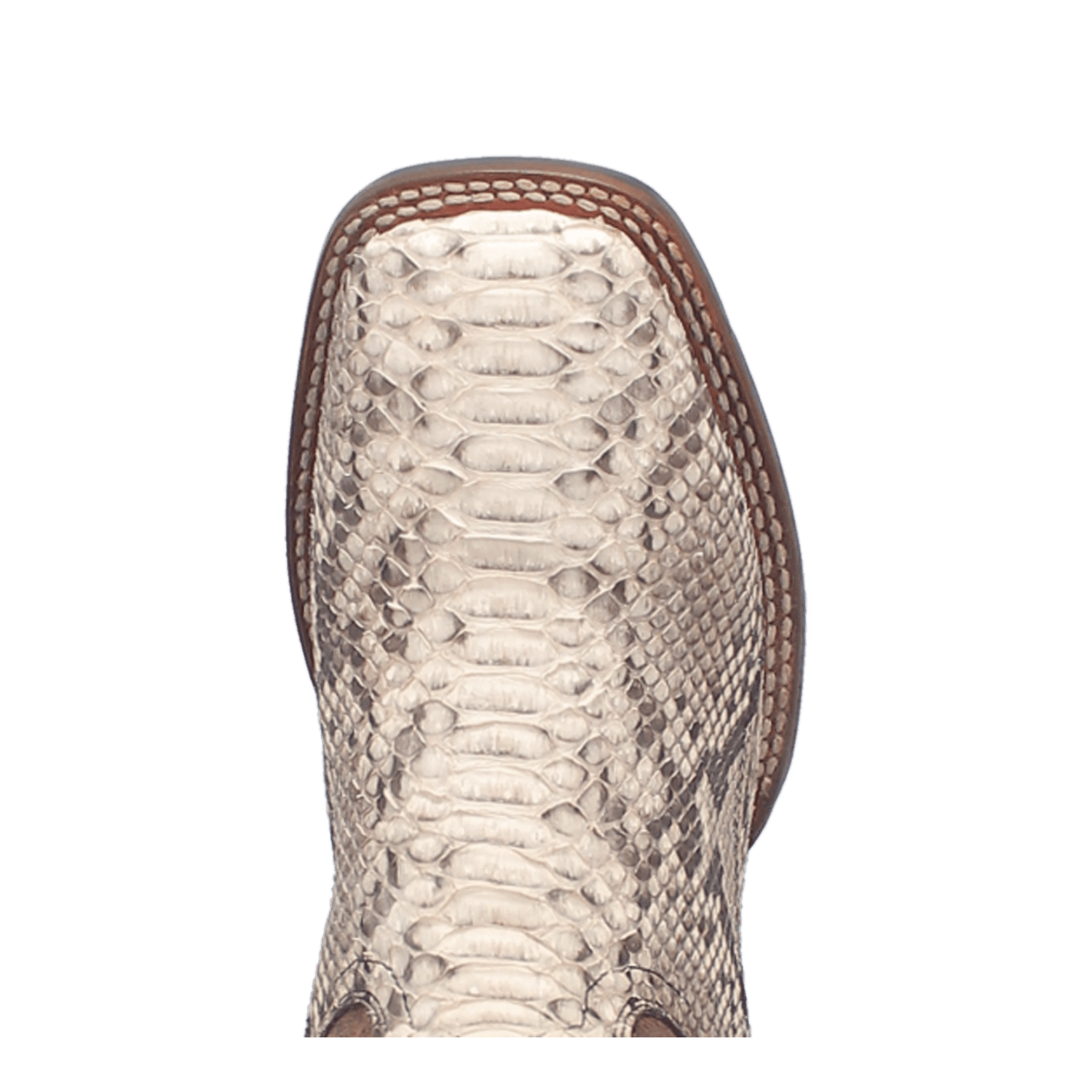 BRUTUS PYTHON BOOT - 7