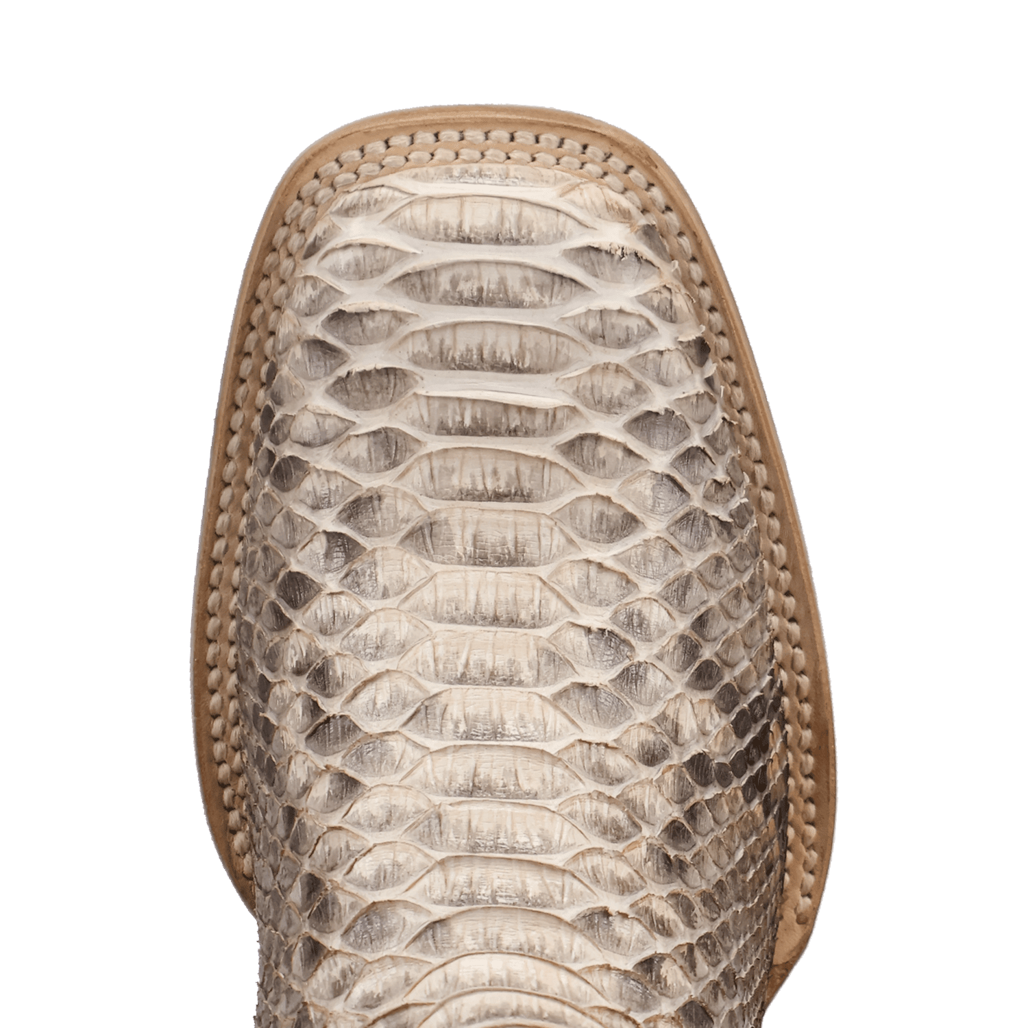 AMARA PYTHON BOOT