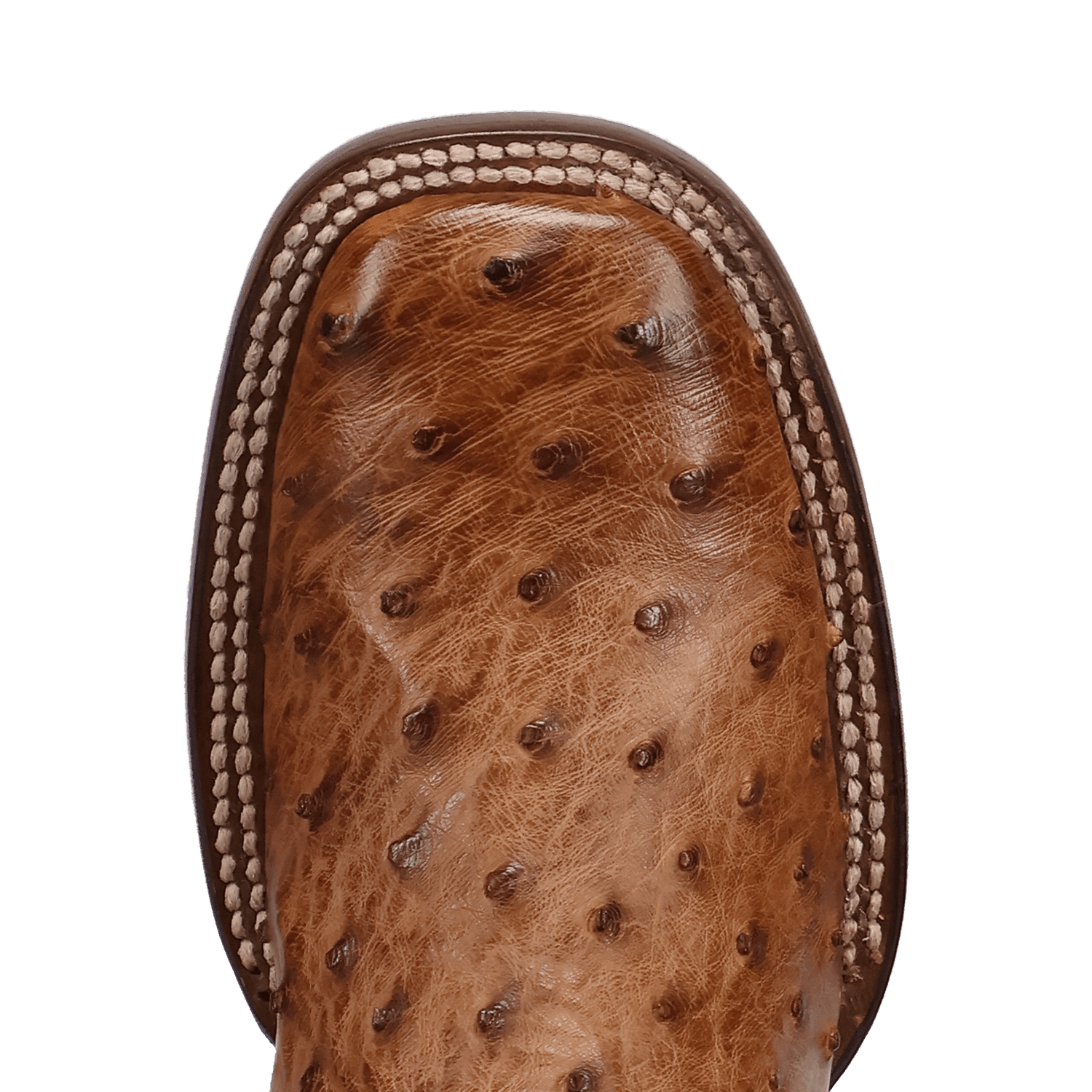 REESE FULL QUILL OSTRICH BOOT - 6